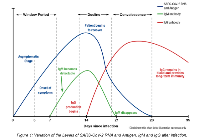 1. ábra (A kép forrása: https://www.diazyme.com/covid-19-antibody-tests)